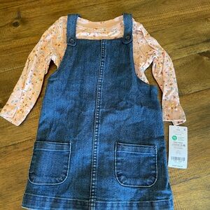 NWT Carter’s jumper dress outfit
